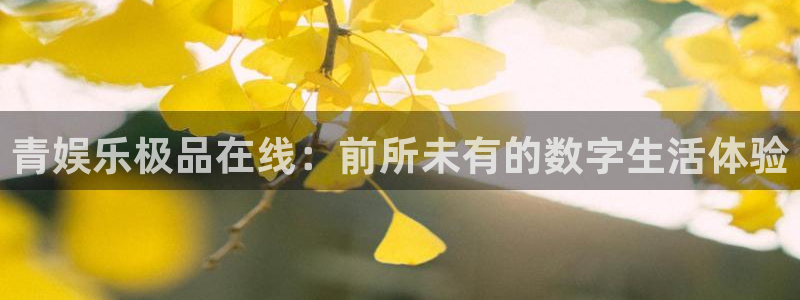 美狮贵宾会网页登陆