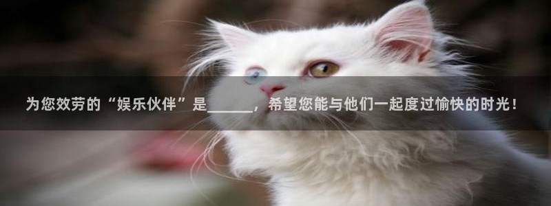 美狮贵宾会官网登录